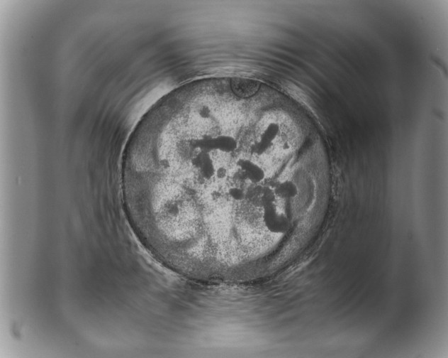 X0000099941087200806131420