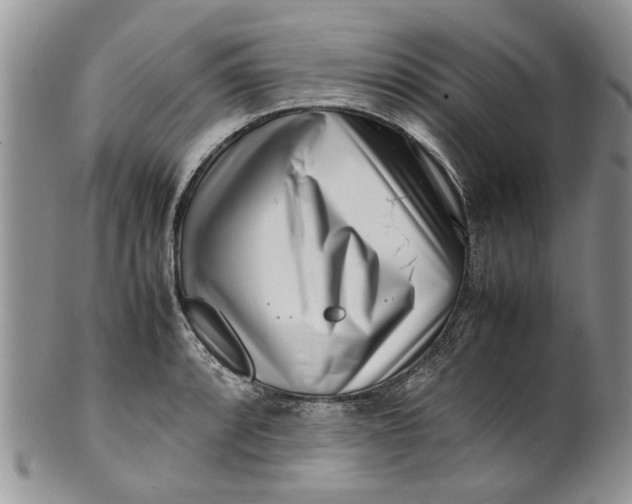 X0000099941088200806131419