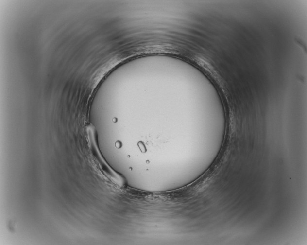 X0000099941089200806131419