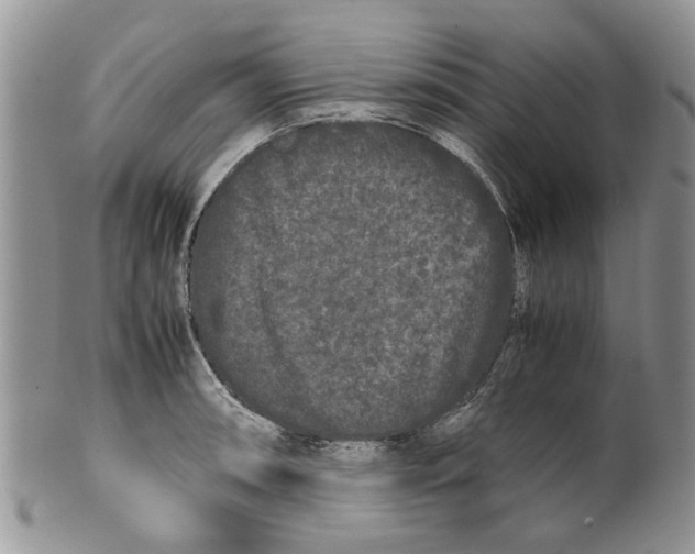 X0000099941090200806131419