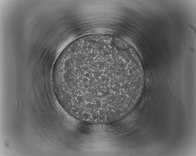 X0000099941091200806131419