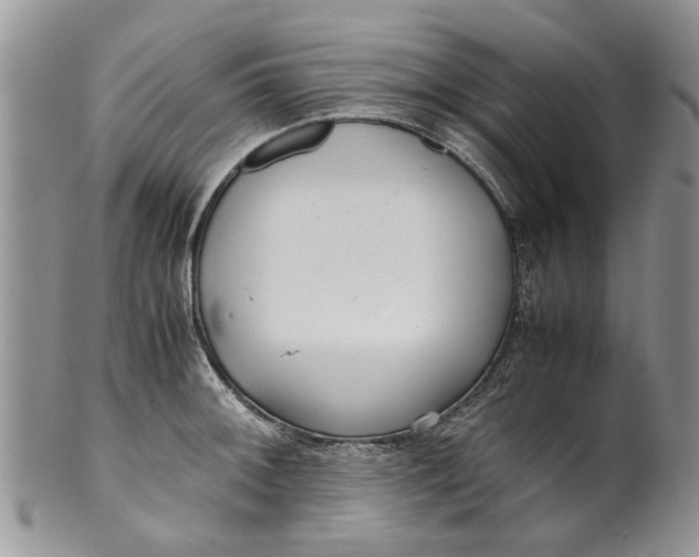 X0000099941092200806131419