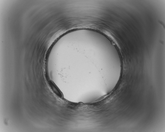 X0000099941093200806131419