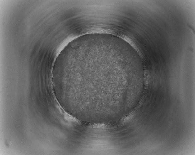 X0000099941094200806131419