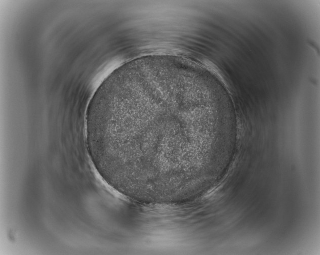 X0000099941095200806131419