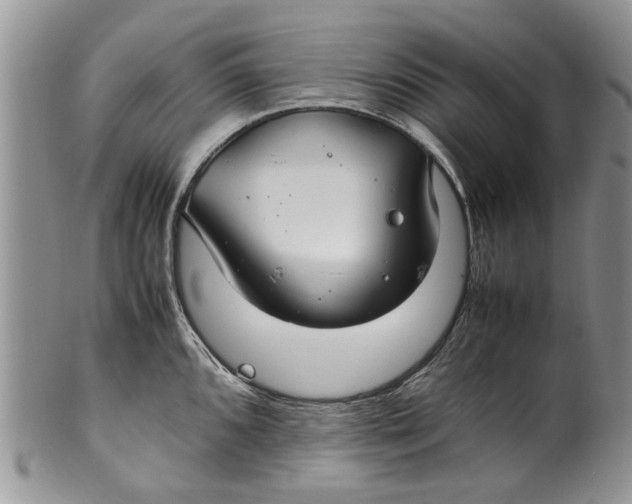 X0000099941096200806131419