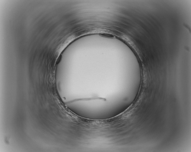 X0000099941097200806131419