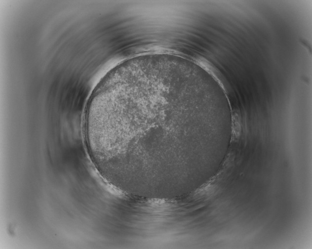 X0000099941098200806131419