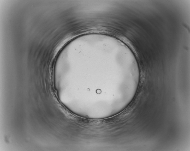 X0000099941099200806131419