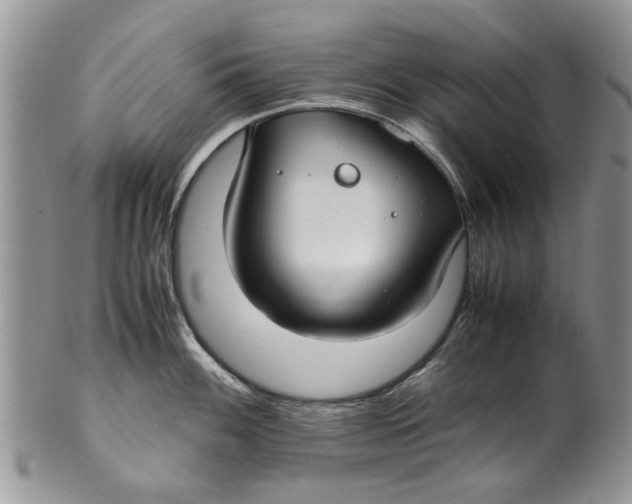 X0000099941100200806131419