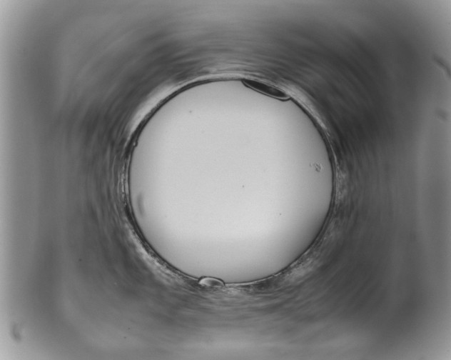 X0000099941101200806131419