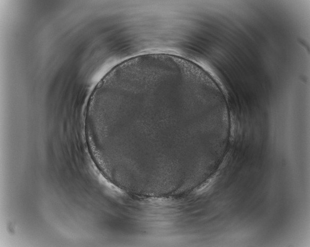 X0000099941102200806131419