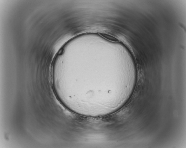 X0000099941103200806131419