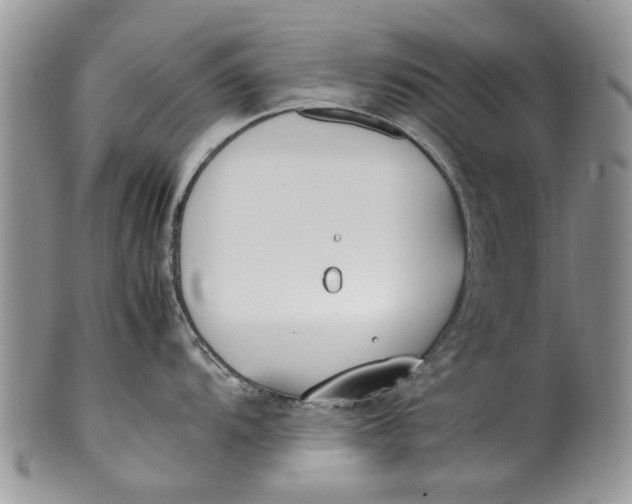 X0000099941104200806131419