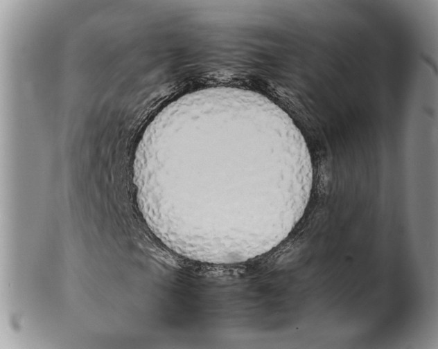 X0000099941105200806131419