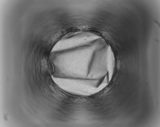 X0000099941106200806131419