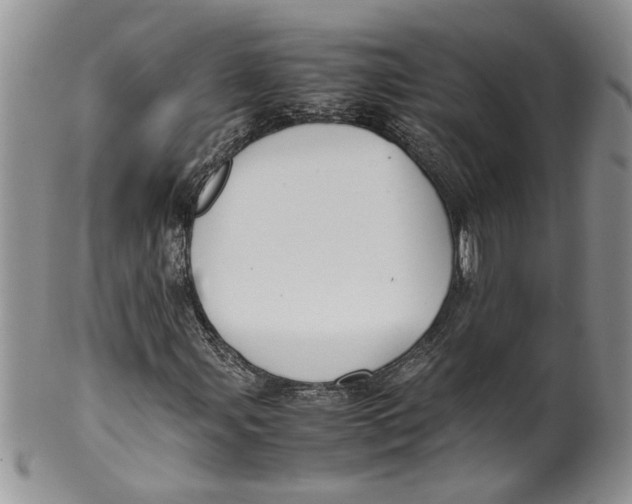 X0000099941107200806131419