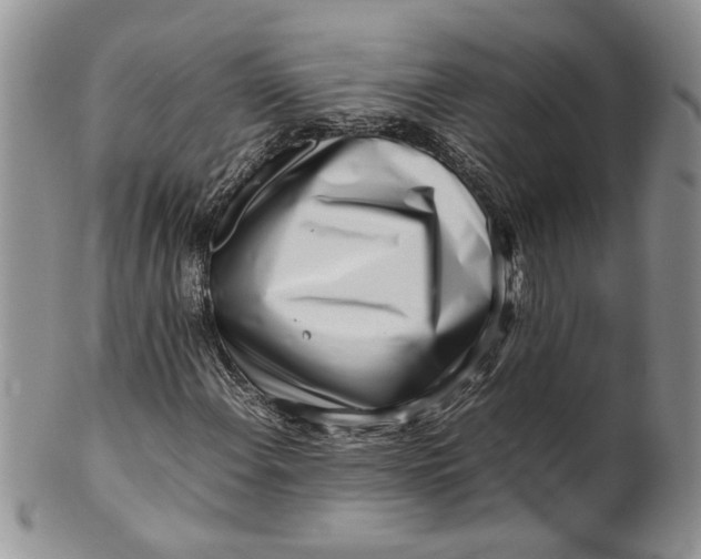 X0000099941108200806131419