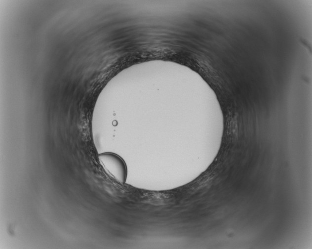 X0000099941109200806131419