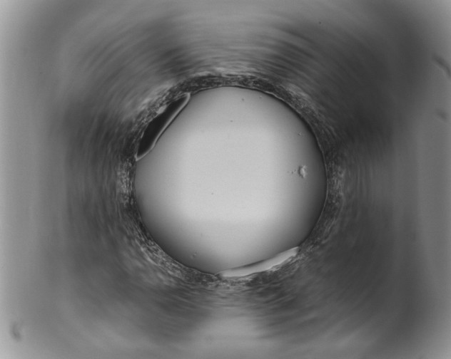 X0000099941110200806131419