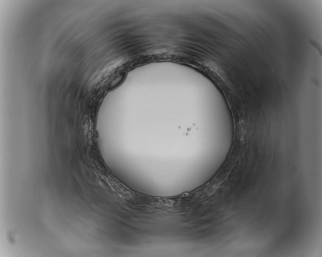 X0000099941111200806131419