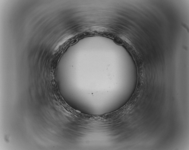 X0000099941112200806131419