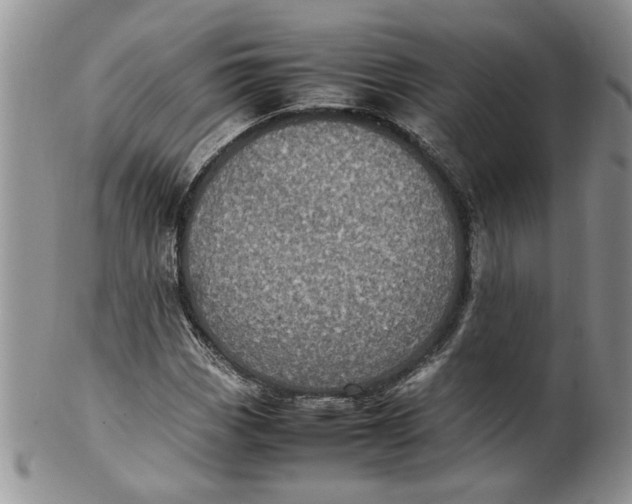 X0000099941113200806131419