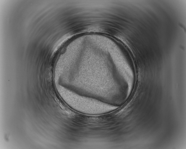 X0000099941115200806131419