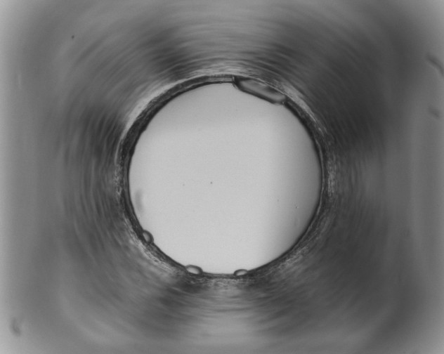 X0000099941116200806131419