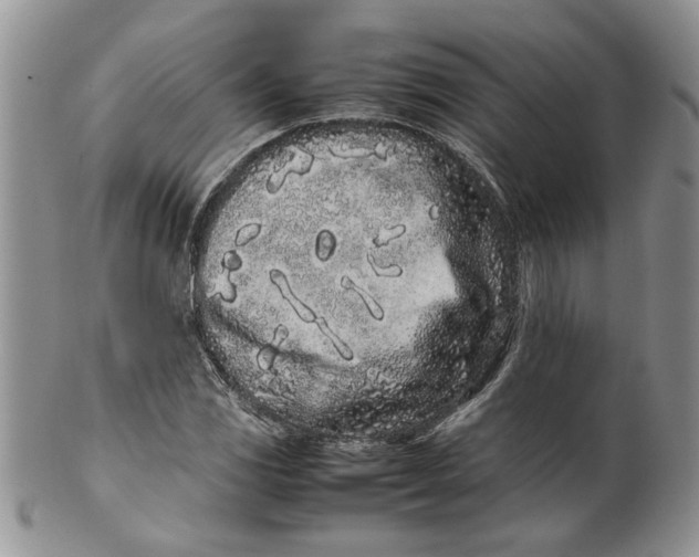 X0000099941117200806131419