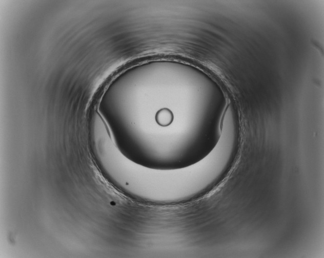 X0000099941118200806131419