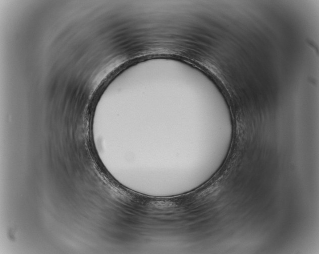 X0000099941119200806131419