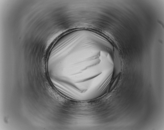 X0000099941120200806131419