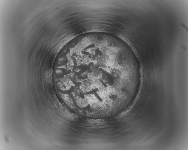 X0000099941121200806131419