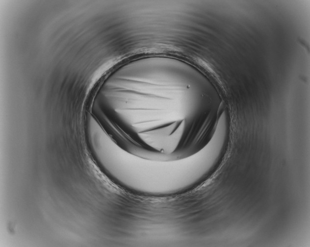 X0000099941122200806131419