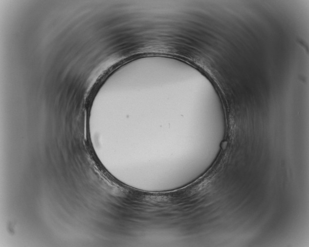 X0000099941123200806131419