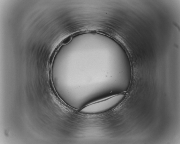 X0000099941124200806131419