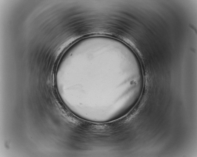 X0000099941125200806131419