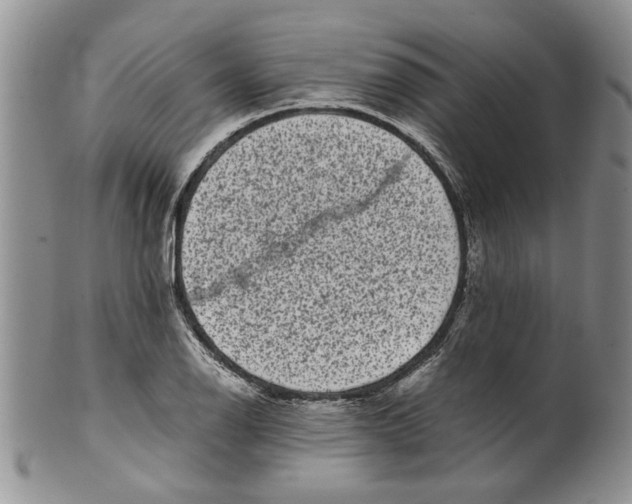 X0000099941126200806131419