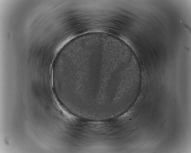 X0000099941127200806131419