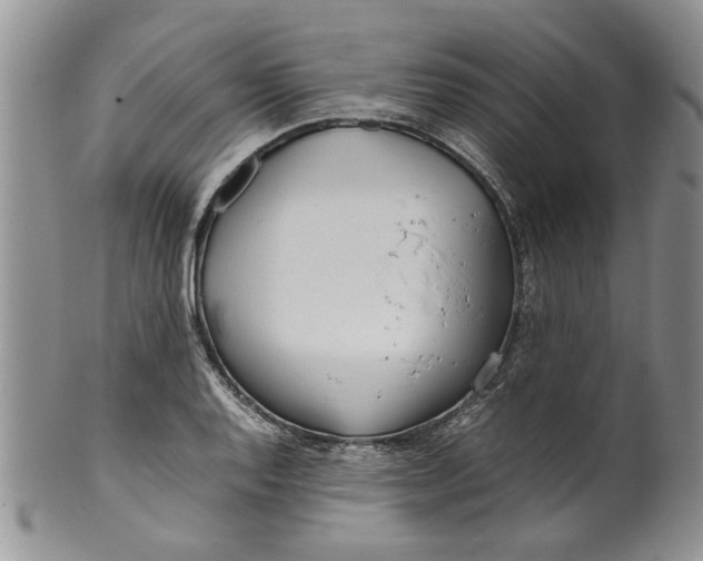 X0000099941128200806131419