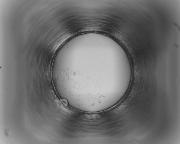 X0000099941129200806131419