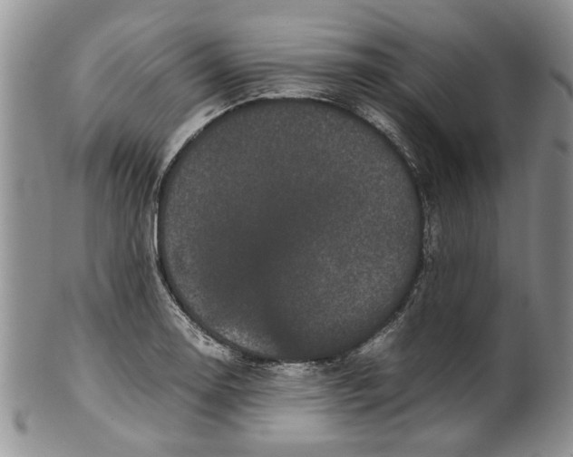 X0000099941130200806131419