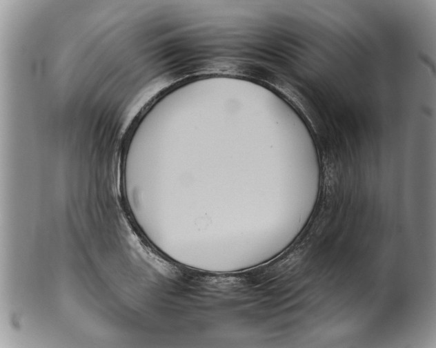 X0000099941131200806131419