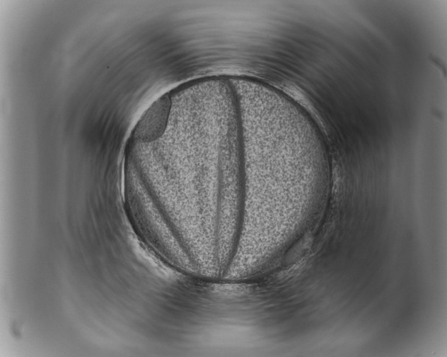 X0000099941132200806131419