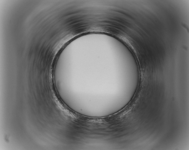 X0000099941133200806131419