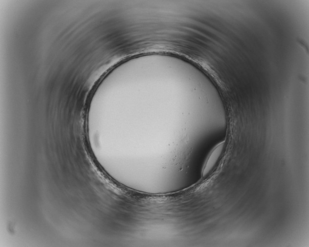 X0000099941134200806131419