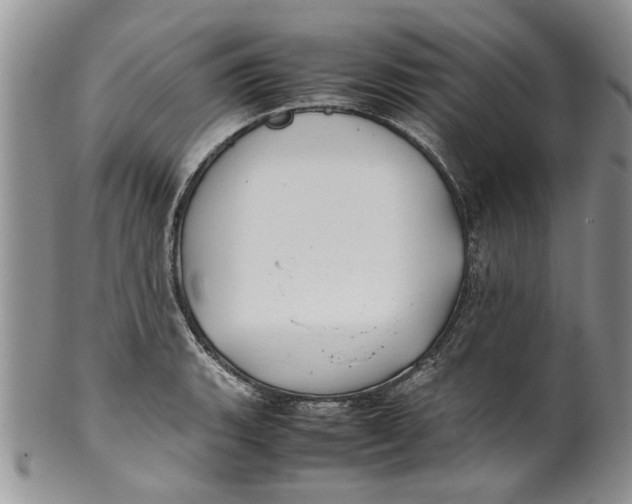 X0000099941135200806131419