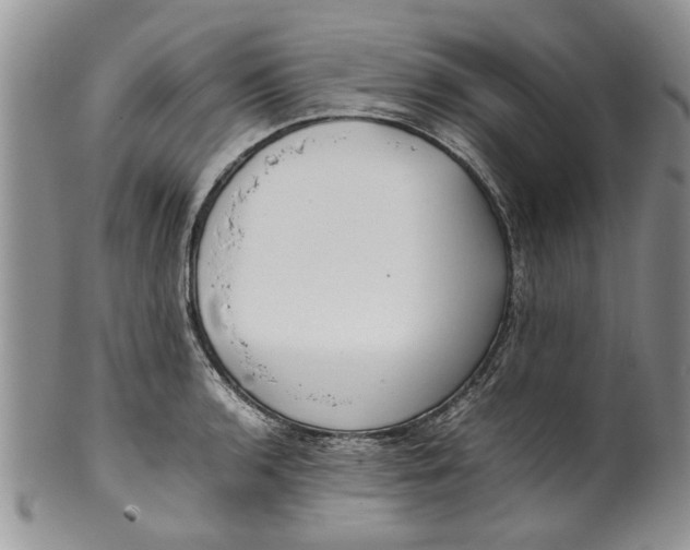 X0000099941136200806131419