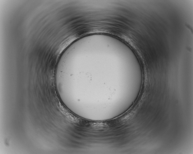 X0000099941137200806131419